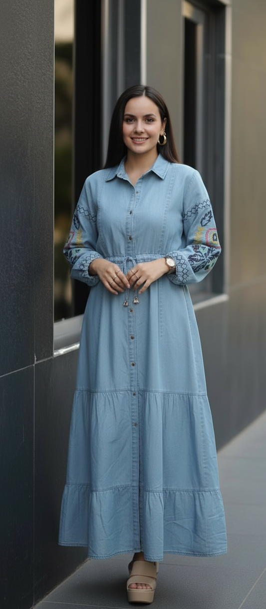 Denim Embroidery sleeve Dress